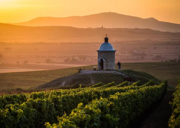 Vinoza - Ubytovani A Vinny Sklep Velke Bilovice Rulandova