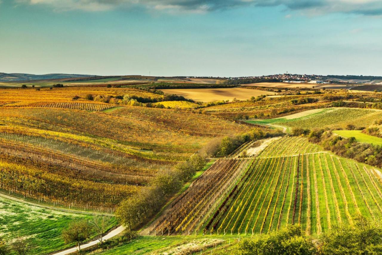 Prázdninový dům Vinný Sklep Vinoza Velké Bílovice