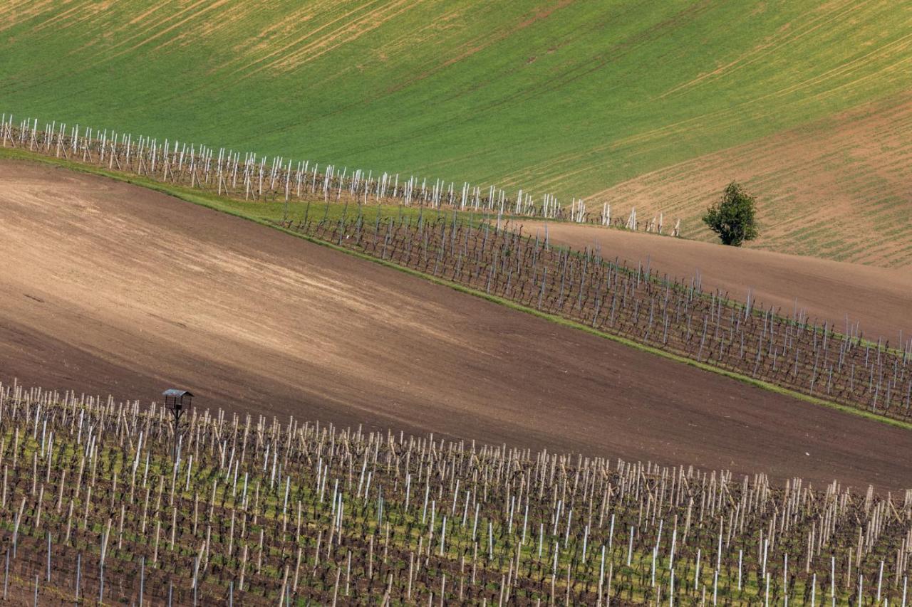 Ferienhaus Vinoza - A Vinny Sklep Rulandova *