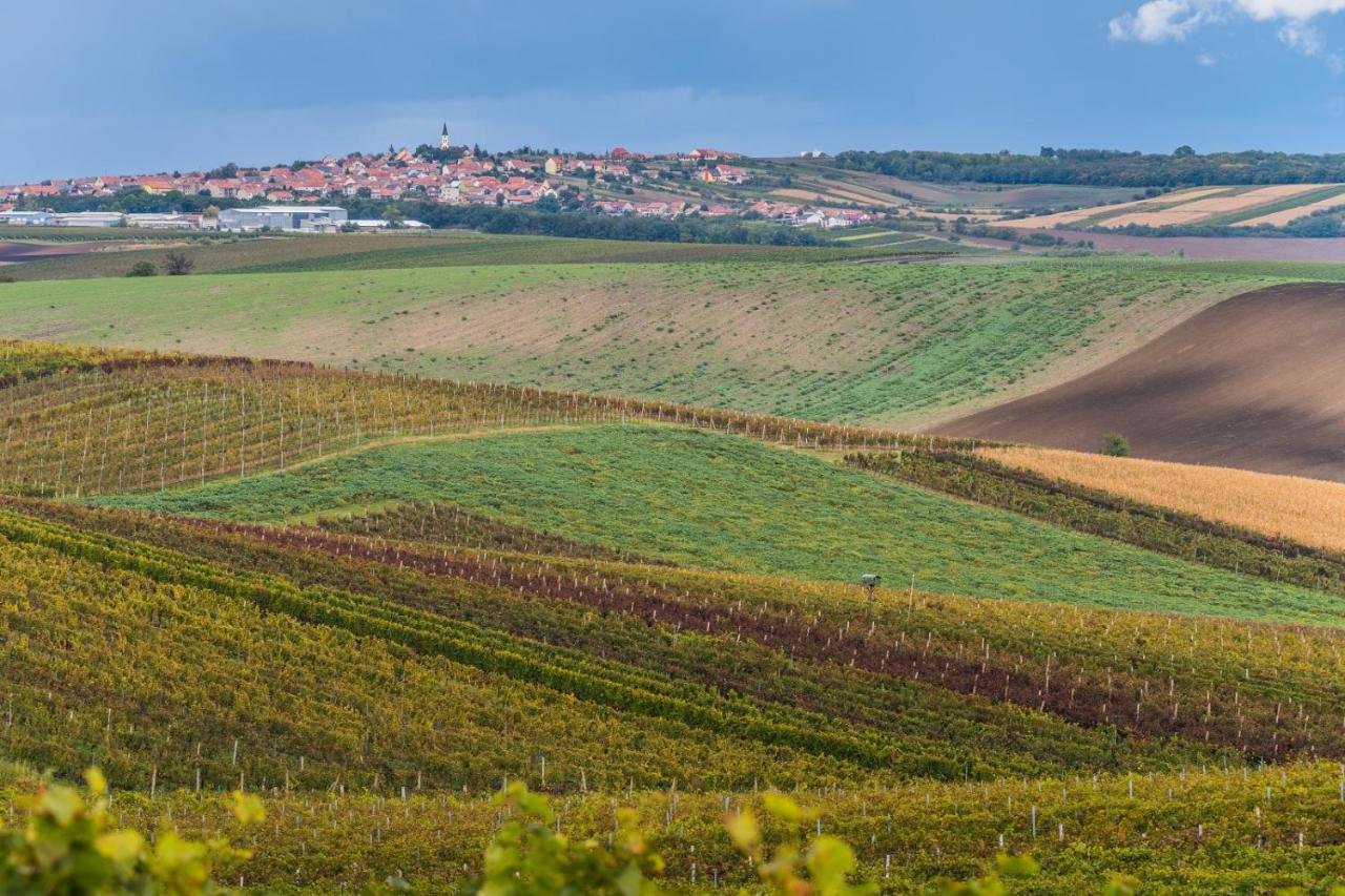 Vinný Sklep Vinoza Prázdninový dům Velké Bílovice