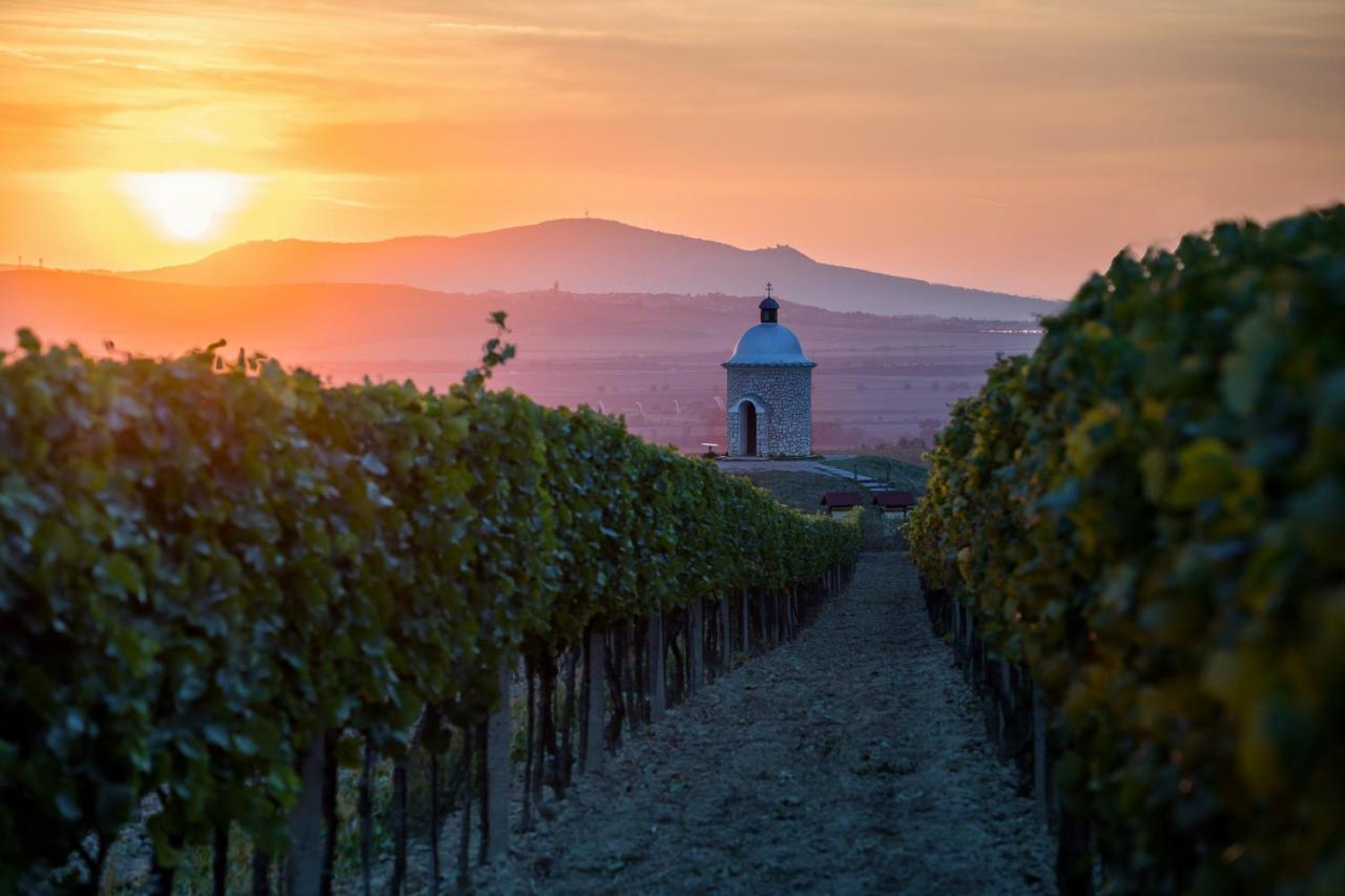 Ferienhaus Vinoza - A Vinny Sklep Rulandova